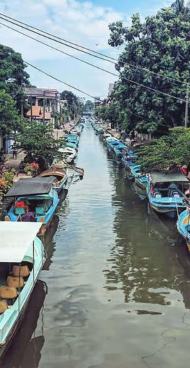 Untitled design (88)