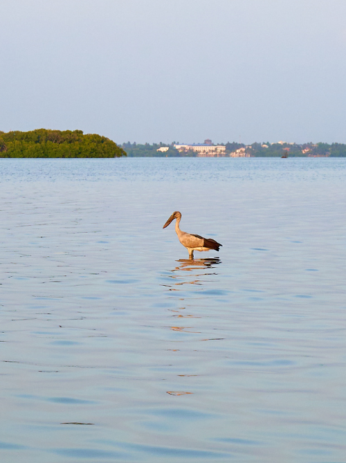 Untitled design (92)