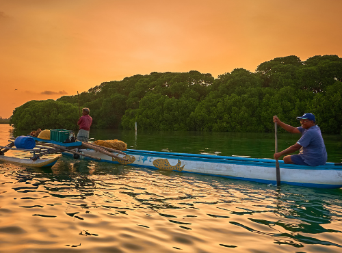 Traditional Catamaran Tour