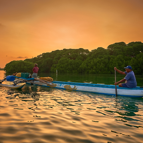 Traditional Catamaran Tour